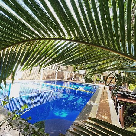 Palms Cove Resort Panglao Exterior foto