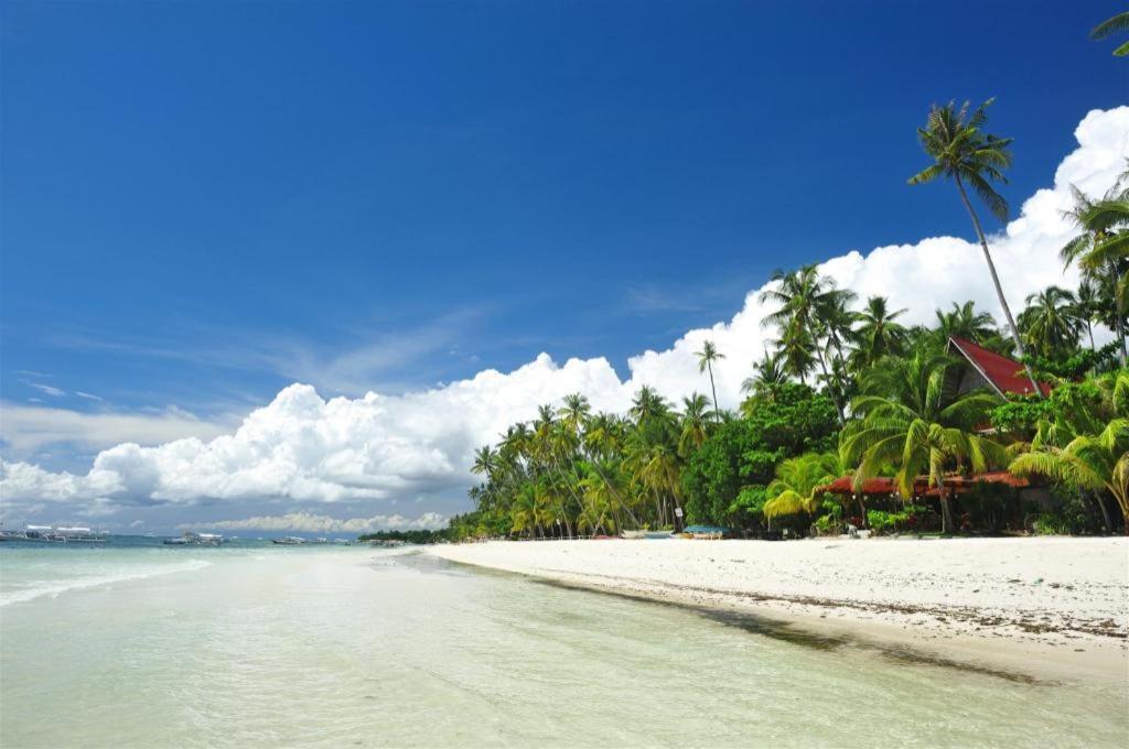 Palms Cove Resort Panglao Exterior foto