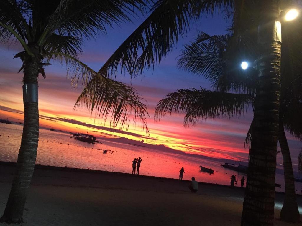 Palms Cove Resort Panglao Exterior foto
